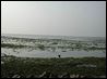 Fort Cochin shores