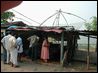 Fish markets