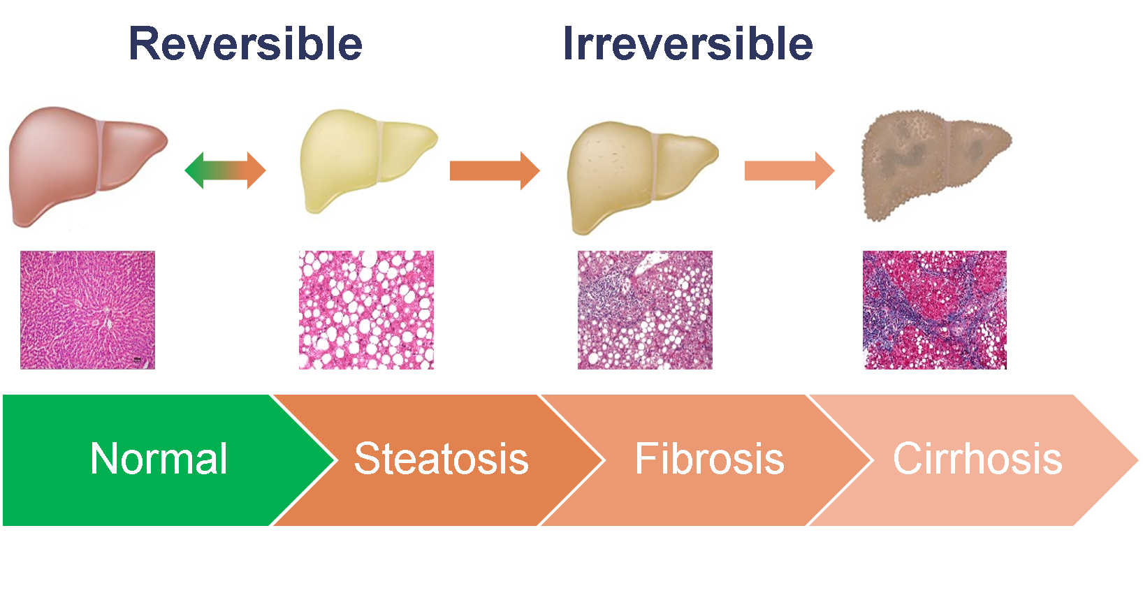 example graphic