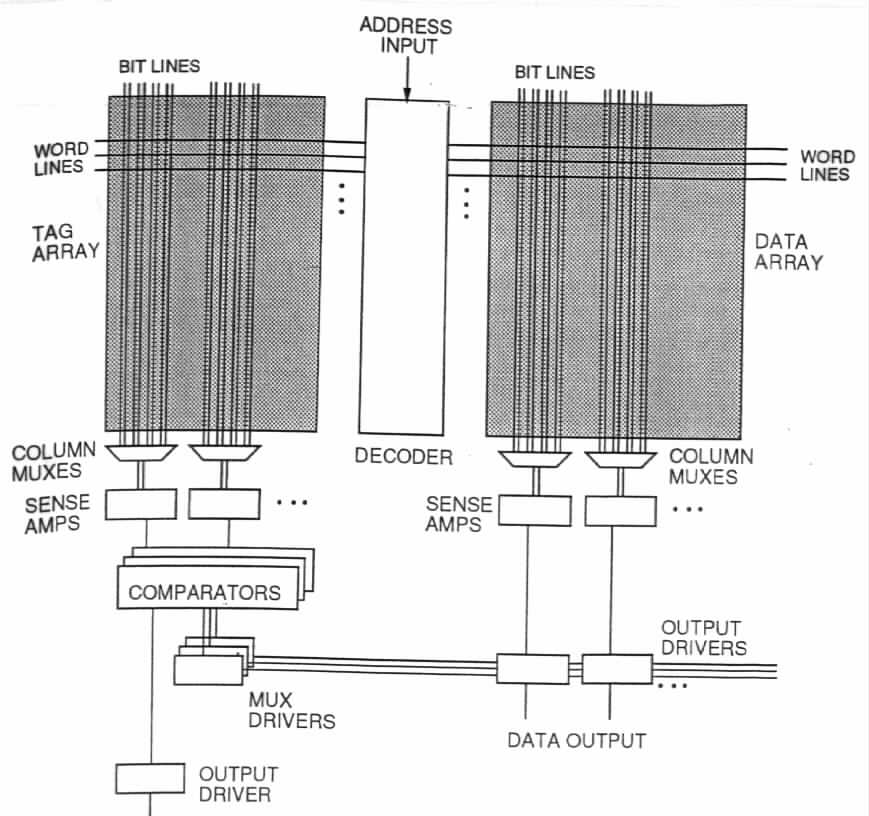 Documentation of Interactive Cacti